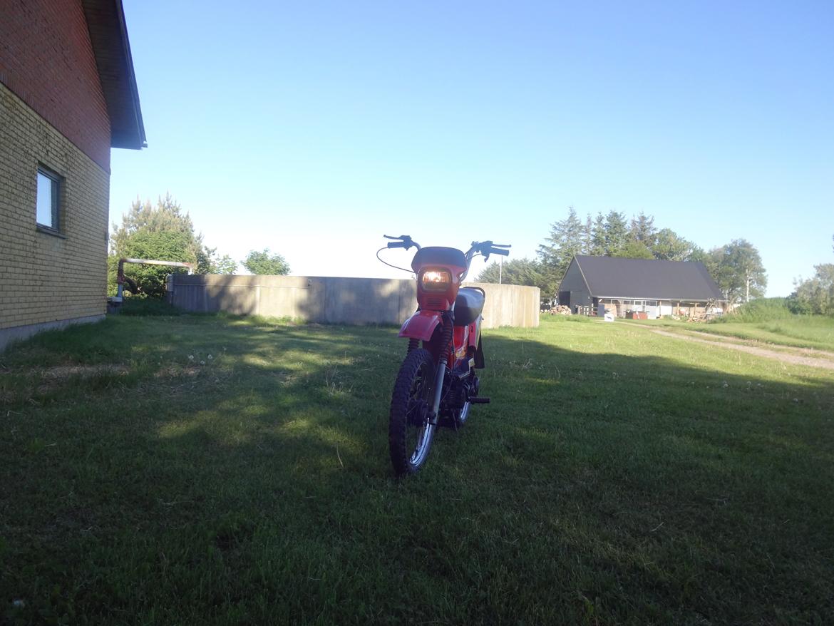 Yamaha sting billede 17