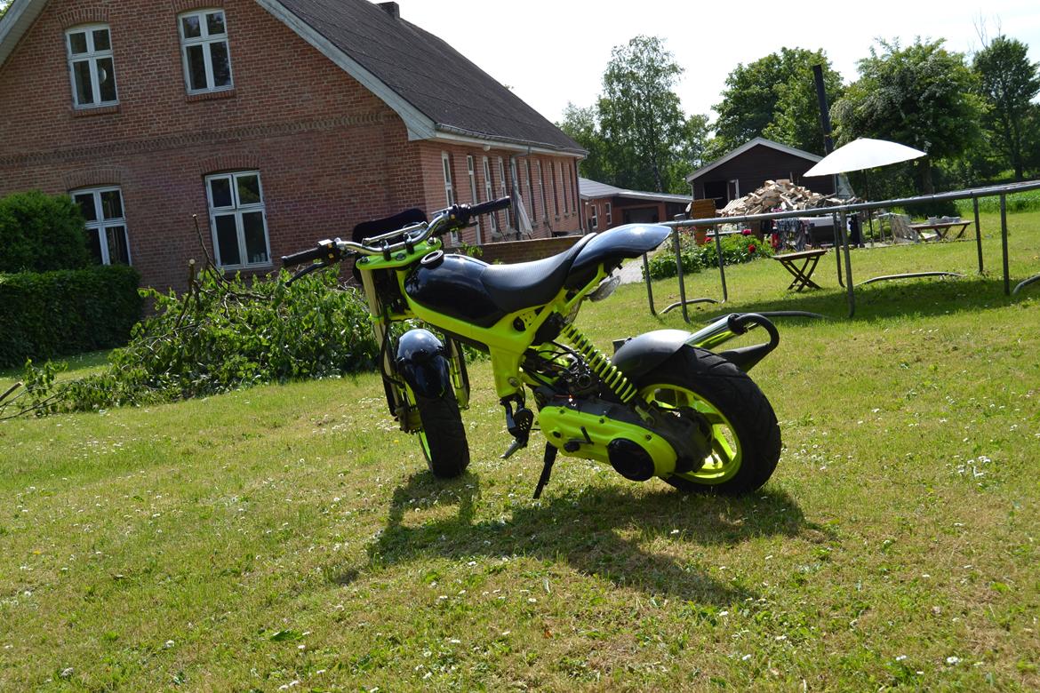 Suzuki Street magic billede 9