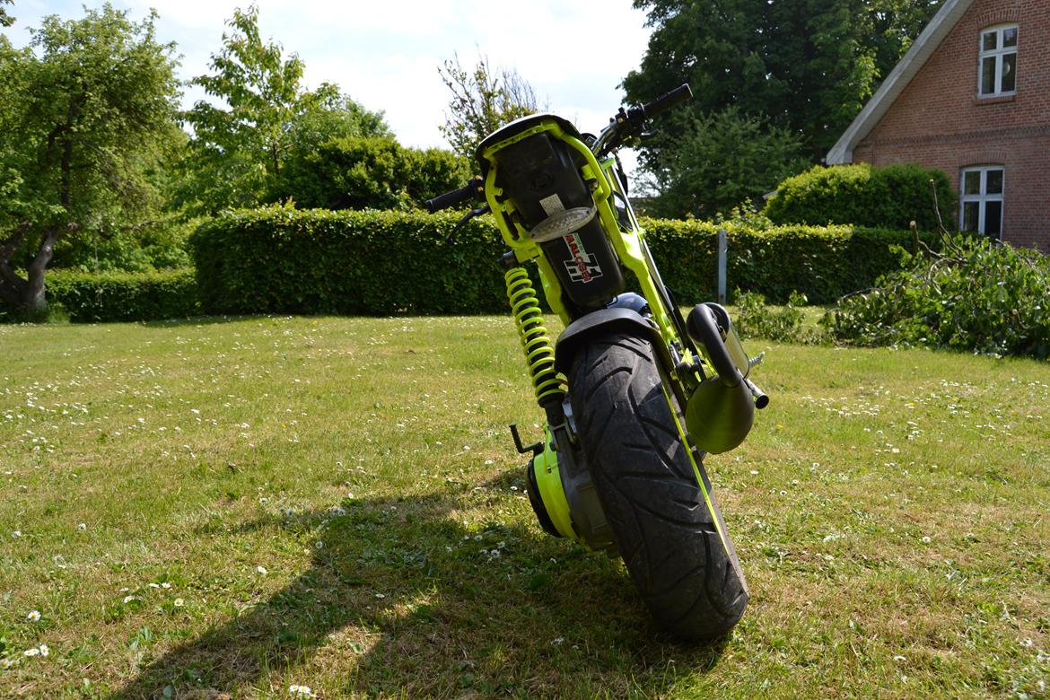 Suzuki Street magic billede 12