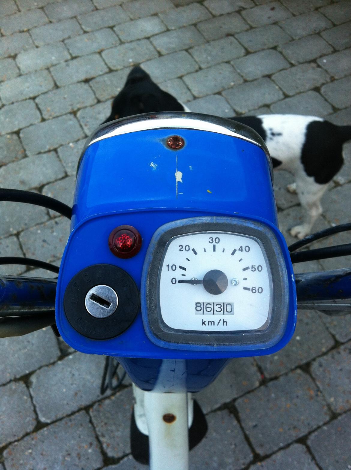 Suzuki FZ50 billede 2