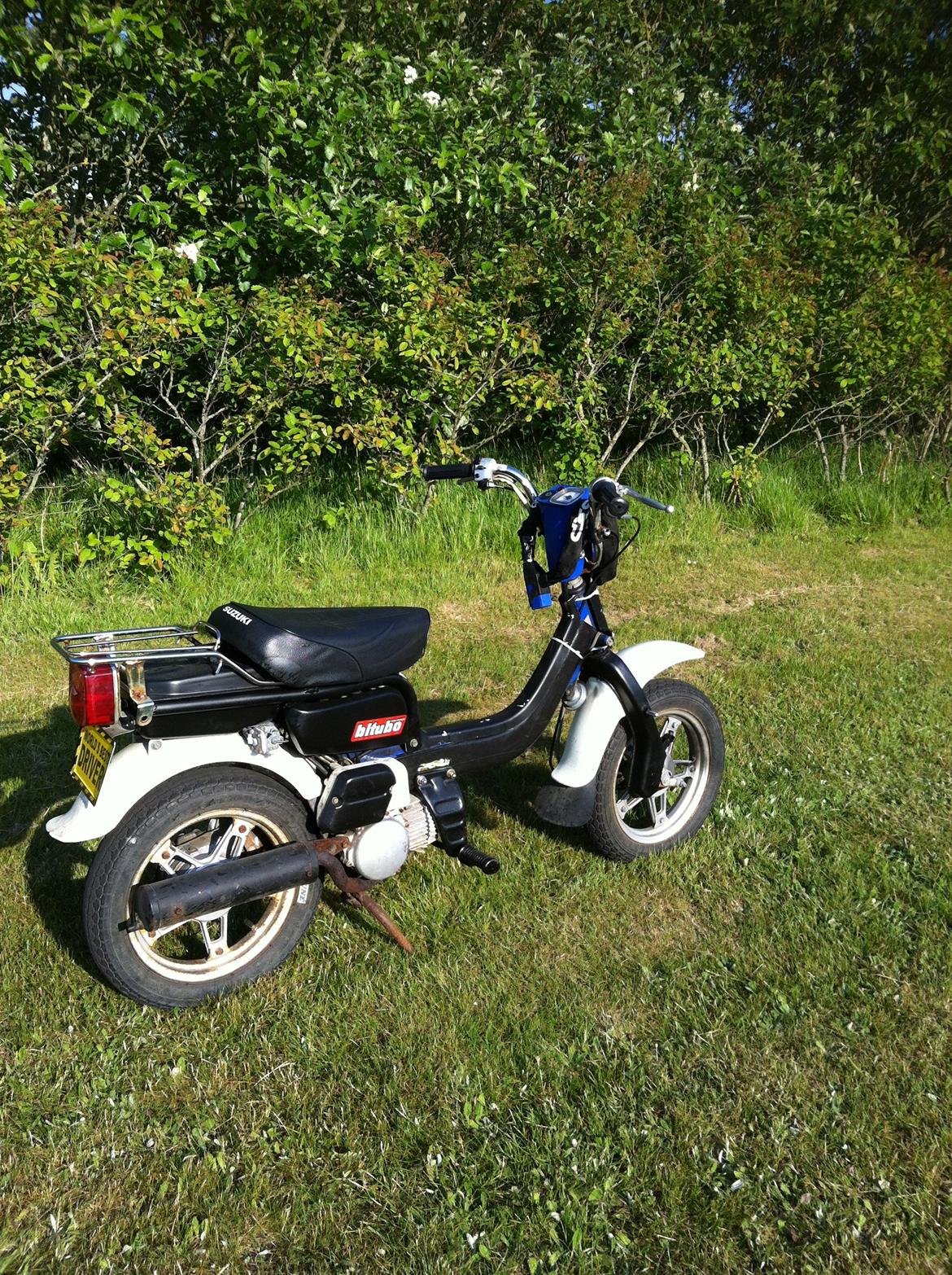 Suzuki FZ50 billede 3