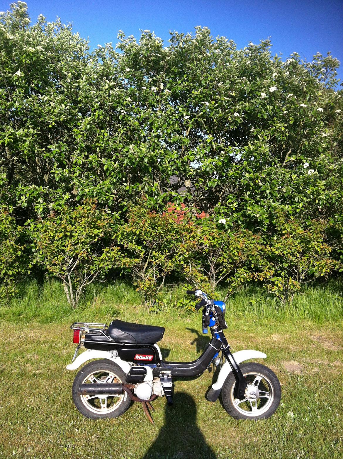 Suzuki FZ50 billede 4