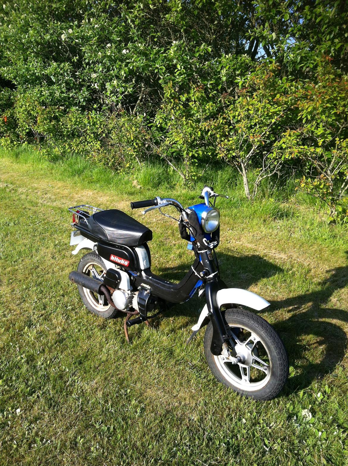 Suzuki FZ50 billede 5