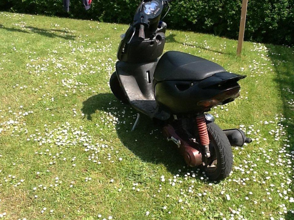 Aprilia Sonic billede 10