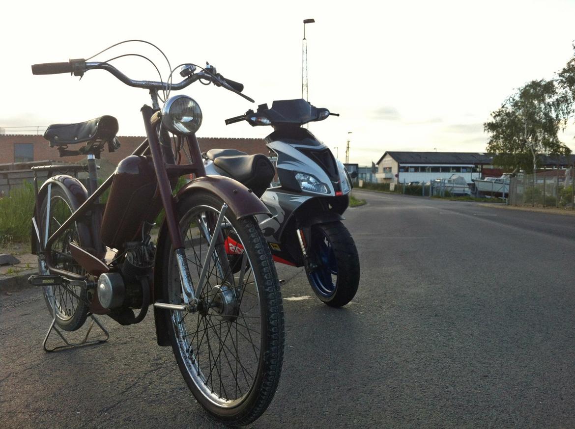 Veteraner Diesella 316 billede 2