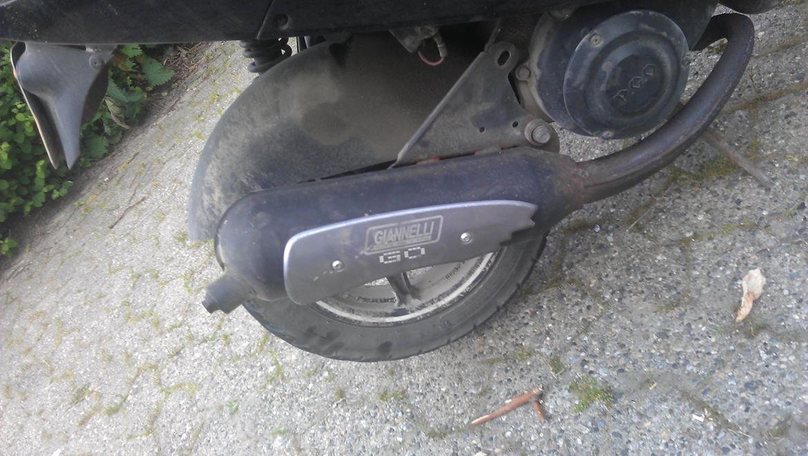 PGO BLACK MAGIC billede 6