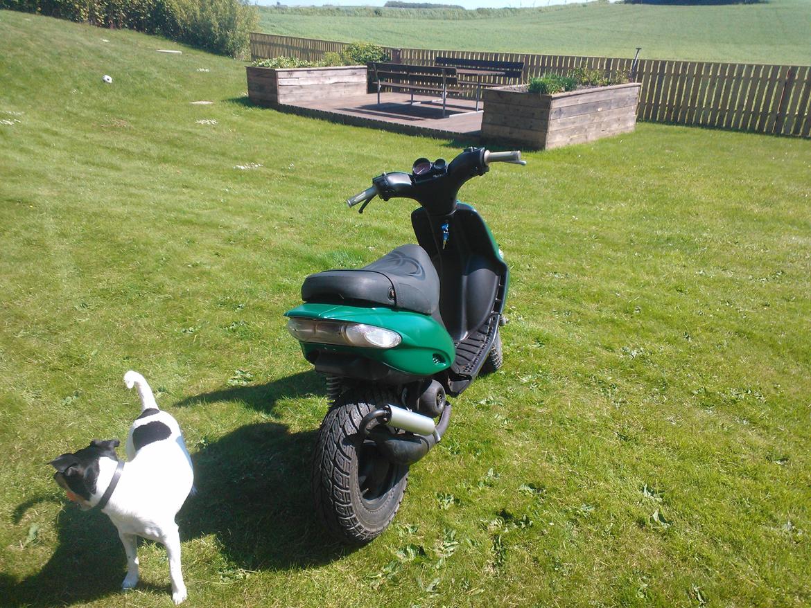 Gilera Stalker billede 3