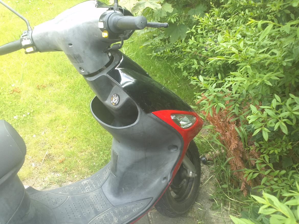 PGO Galaxy 50 (White magic) billede 5