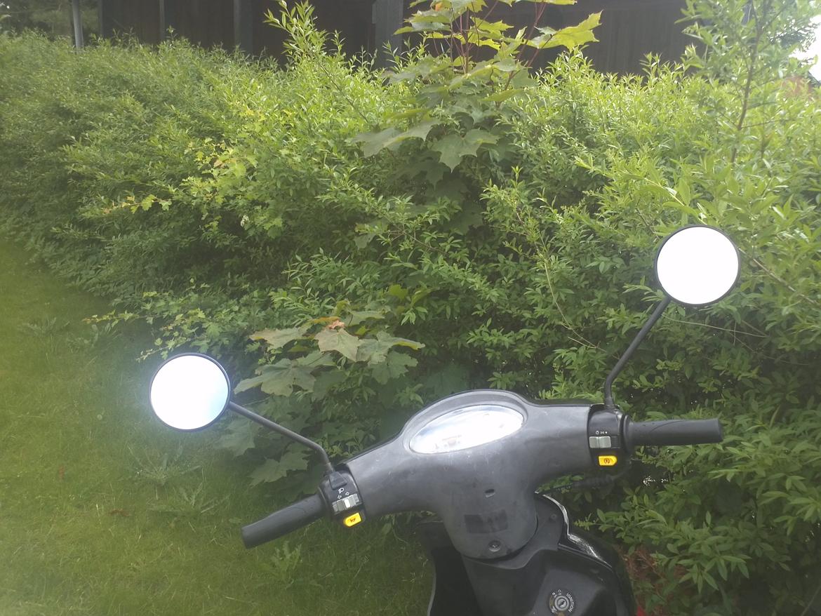 PGO Galaxy 50 (White magic) billede 13