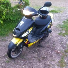 Giantco Sprint sport