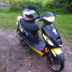 Giantco Sprint sport