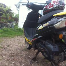 Giantco Sprint sport