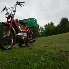 Puch Maxi S
