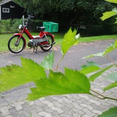 Puch Maxi S
