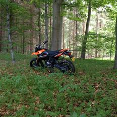 Generic Trigger SM 50 LC DD