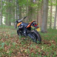 Generic Trigger SM 50 LC DD