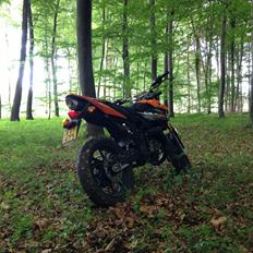 Generic Trigger SM 50 LC DD