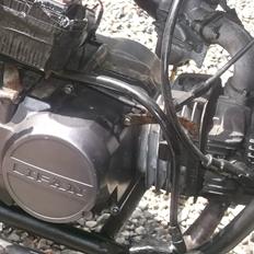 Kinroad Prince xt