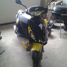 Giantco Sprint sport