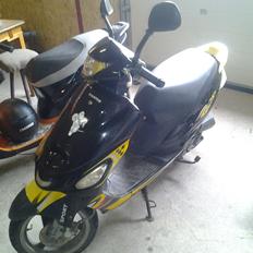Giantco Sprint sport