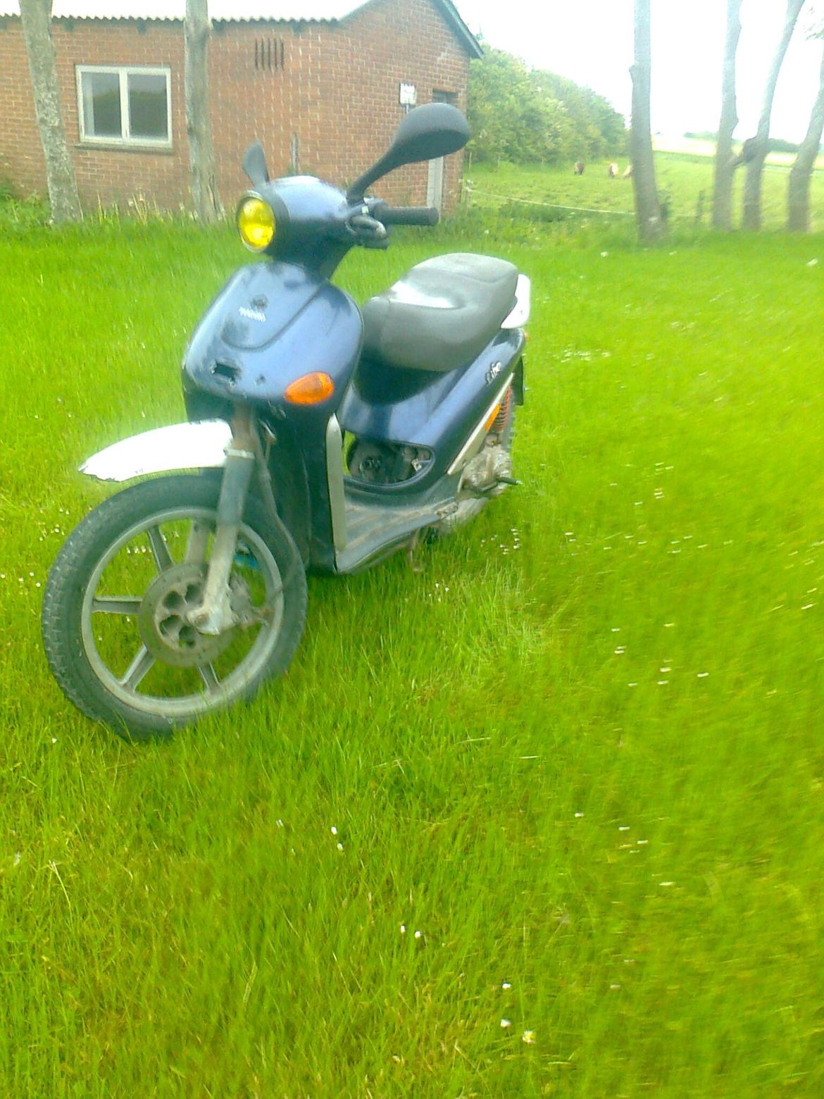 Piaggio Liberty solgt billede 2