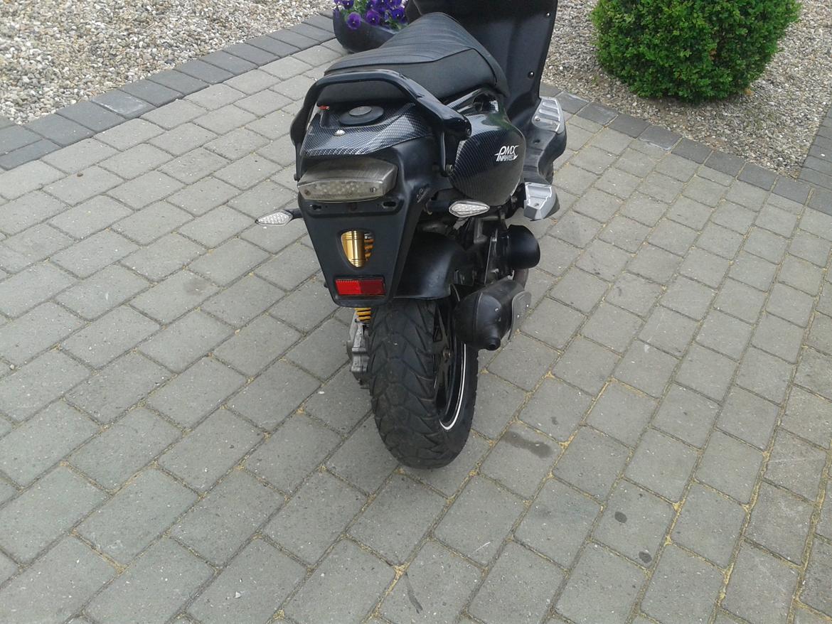 PGO PMX Naked Carbon billede 2