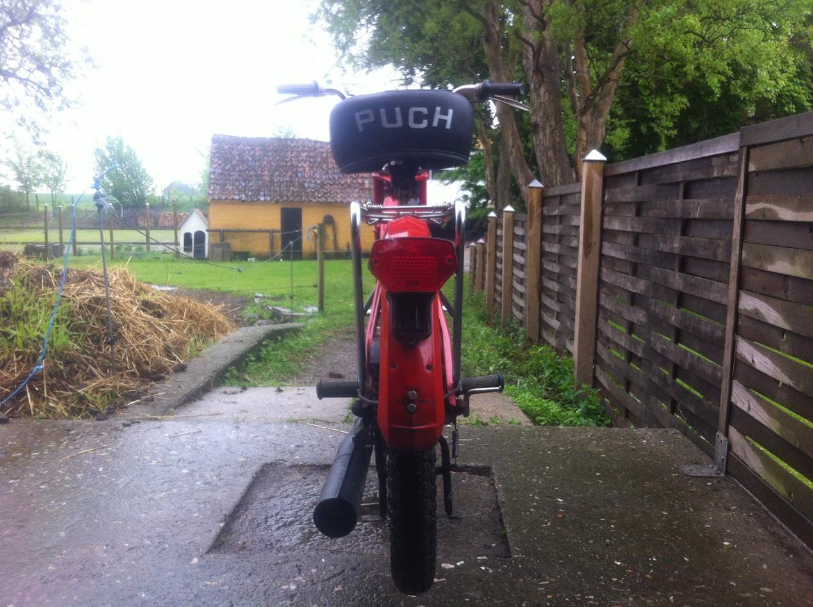 Puch Maxi k (Tidl. Knallert) billede 7