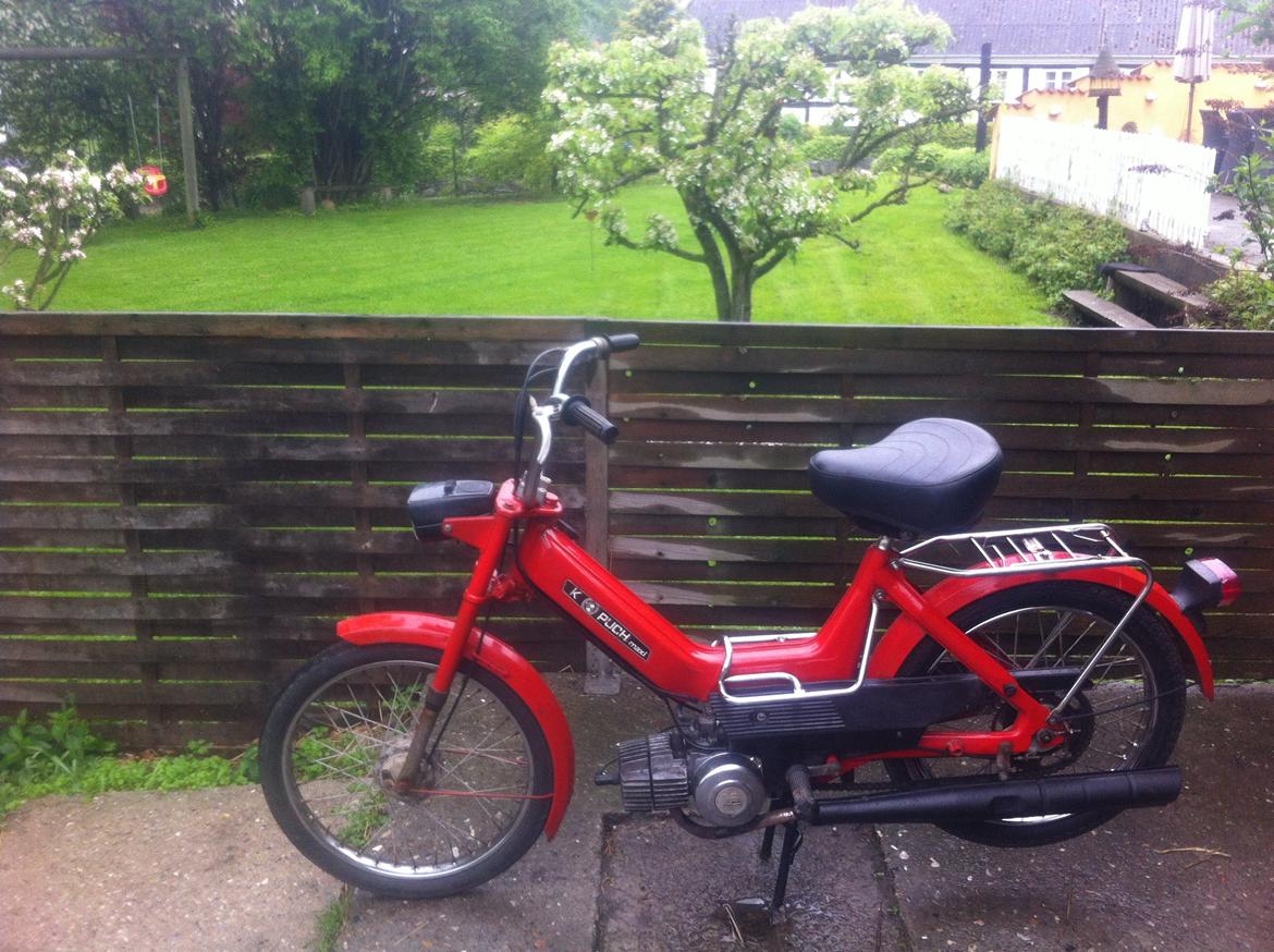 Puch Maxi k (Tidl. Knallert) billede 9