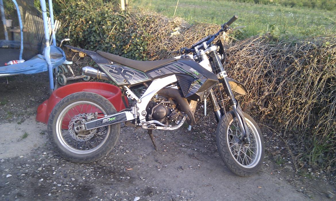 Apollo Orion   aragon billede 1