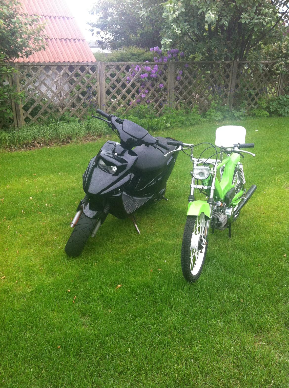 Puch maxi KL Hirtshalsraceren! billede 9