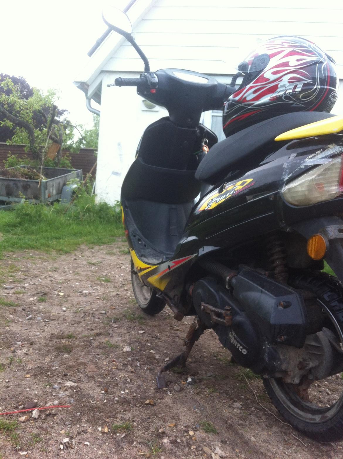 Giantco Sprint sport billede 3