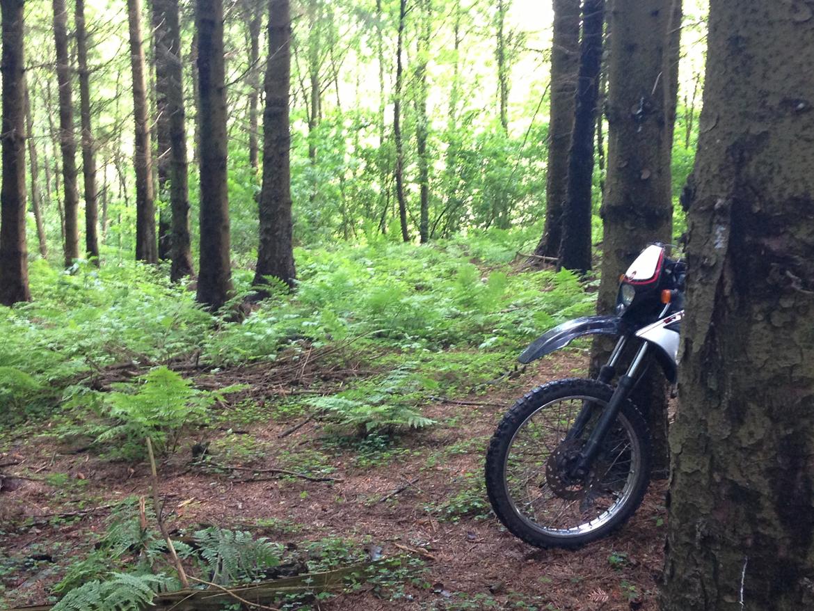 Gilera RCR 50 ENDURO billede 7