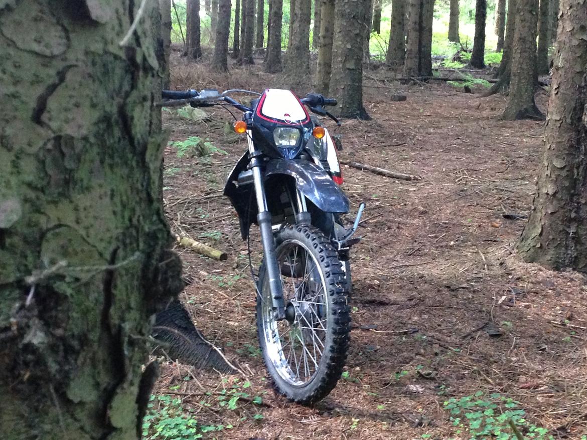 Gilera RCR 50 ENDURO billede 4