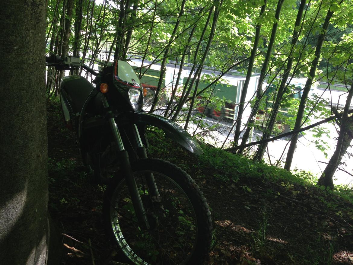 Gilera RCR 50 ENDURO billede 8