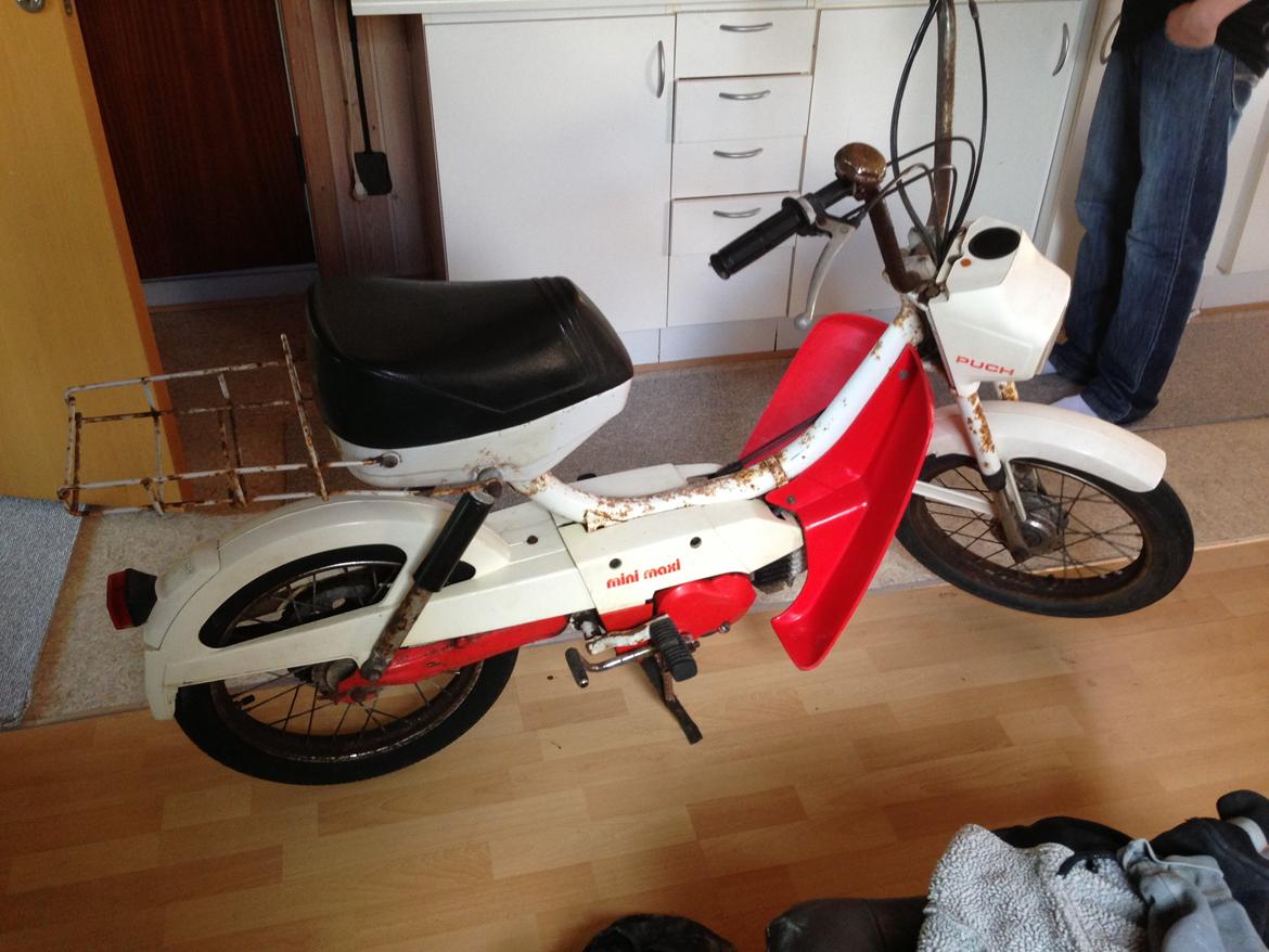 Puch mini maxi billede 1