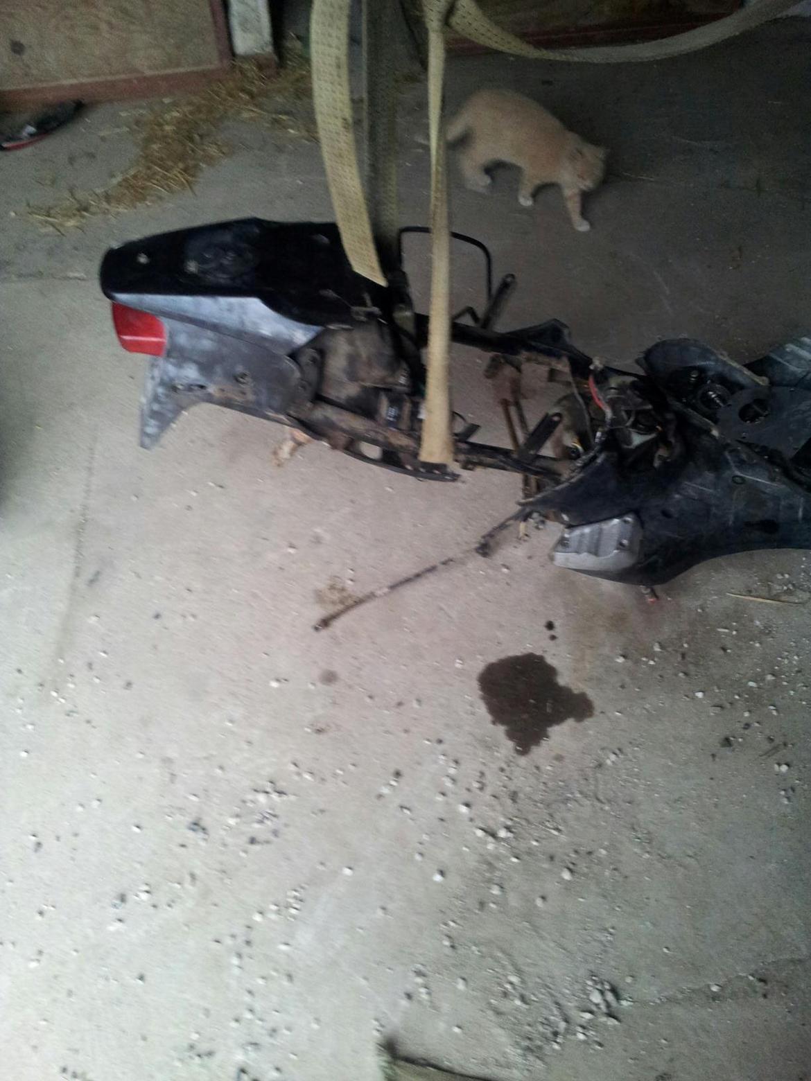 PGO pmx sports billede 8