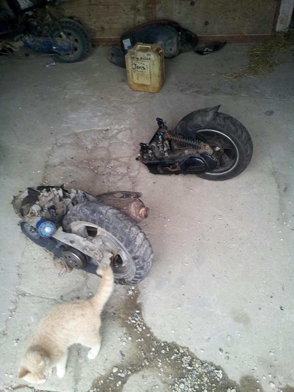 PGO pmx sports billede 9