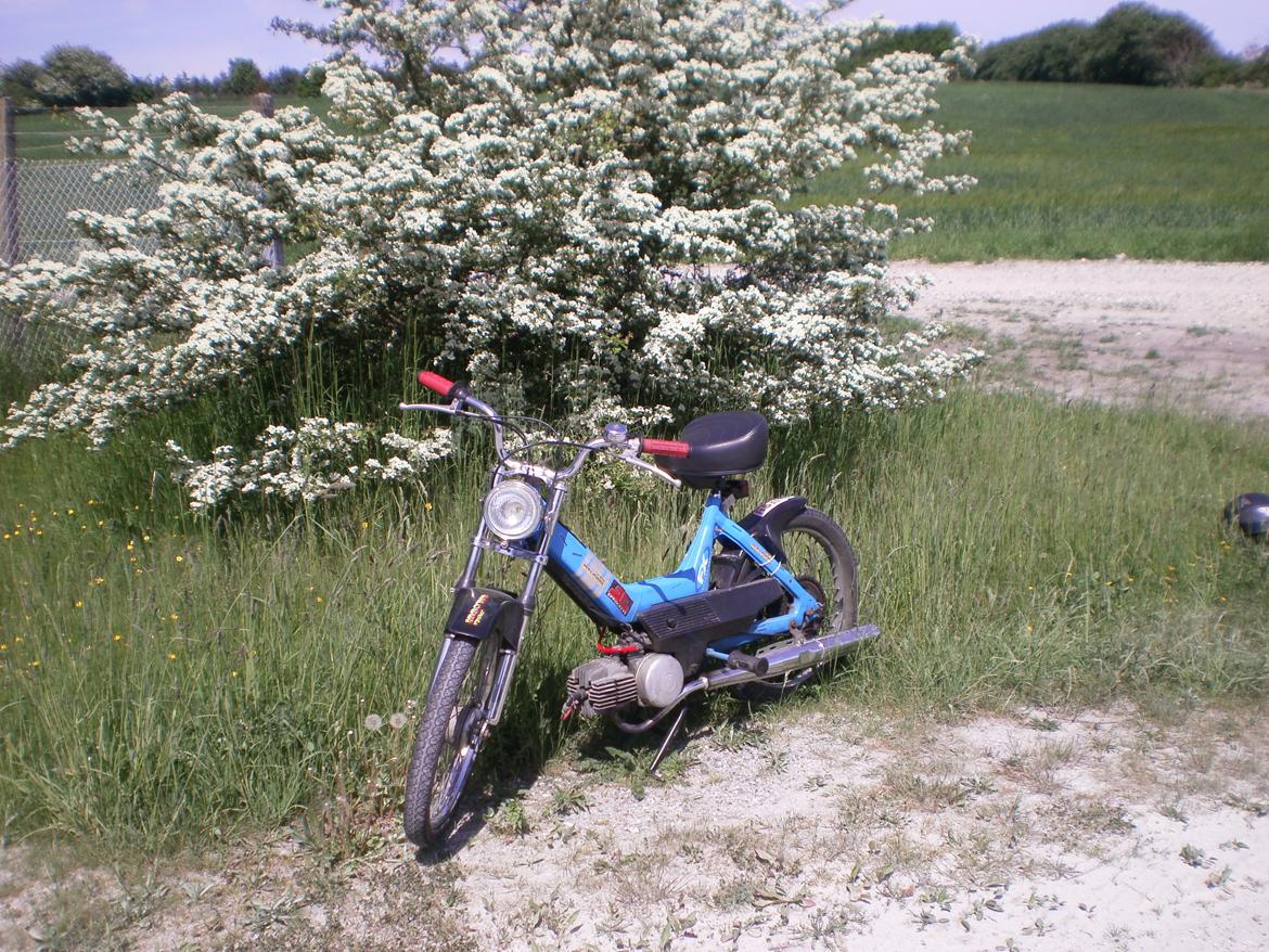 Puch Maxi K E50 "Das Blaue Rassen" [Tidl. scooter] - Efter billede 15
