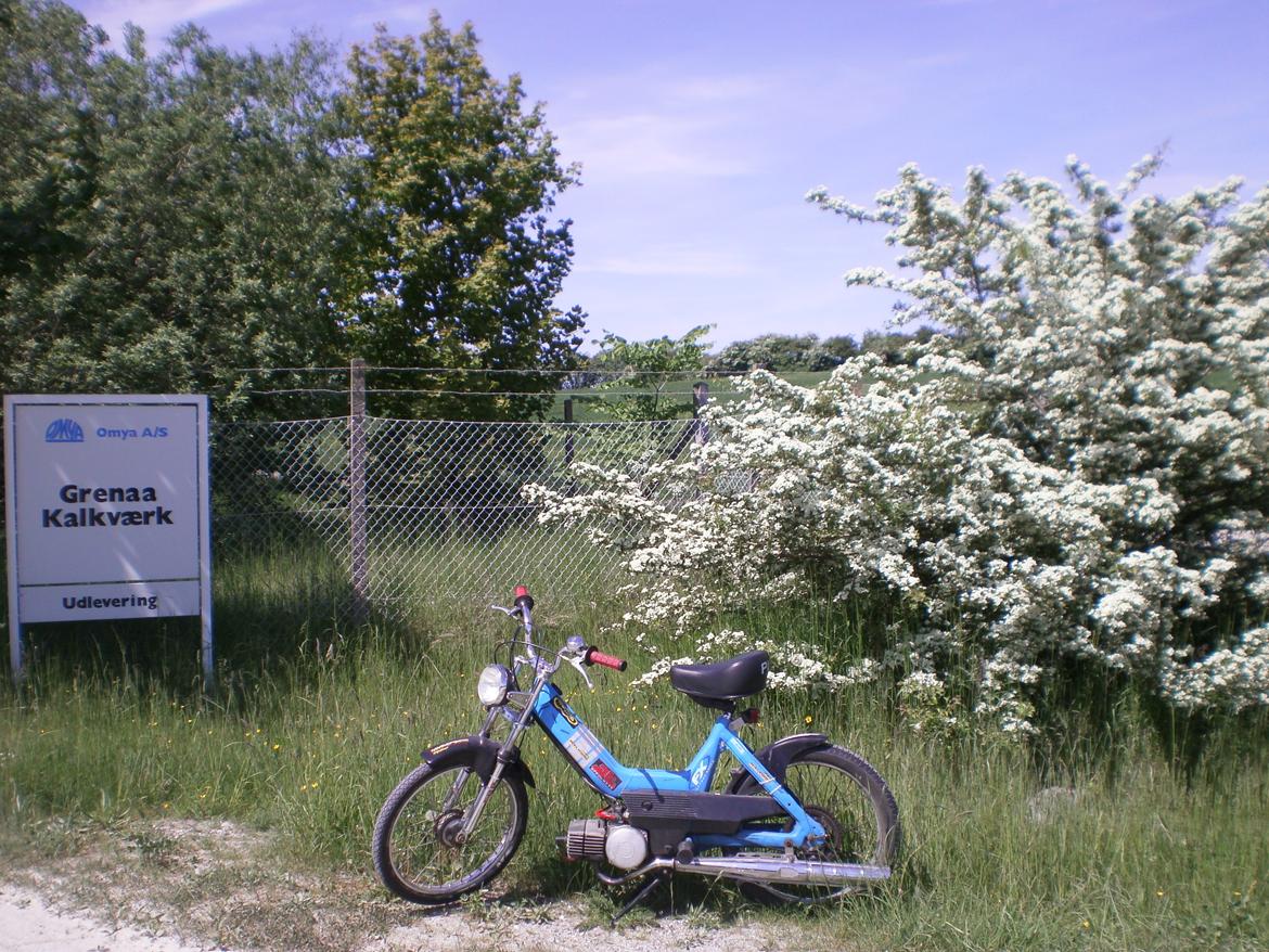 Puch Maxi K E50 "Das Blaue Rassen" [Tidl. scooter] - Efter billede 16