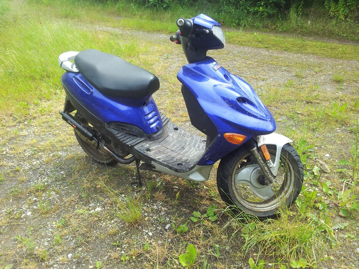 Adly silver fox billede 2