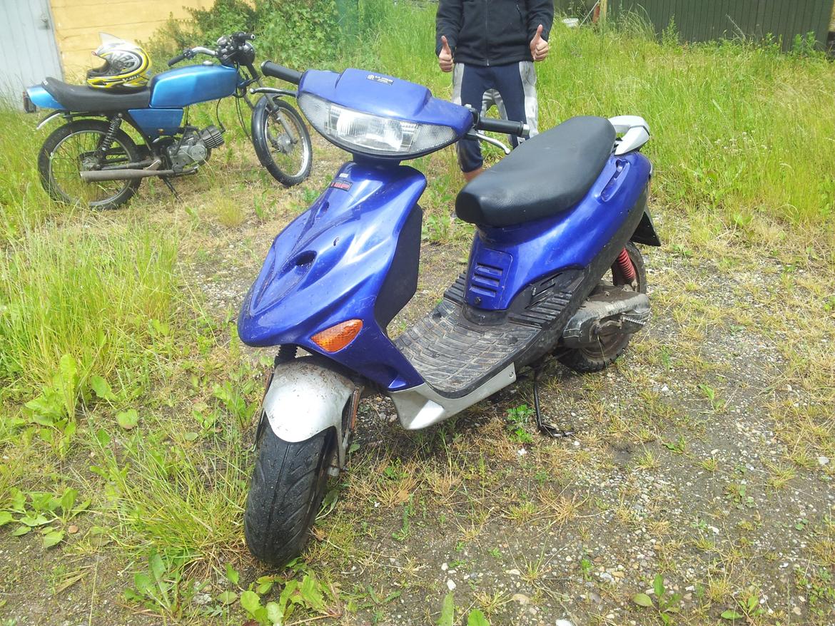 Adly silver fox - køn nej men kører godt  billede 1