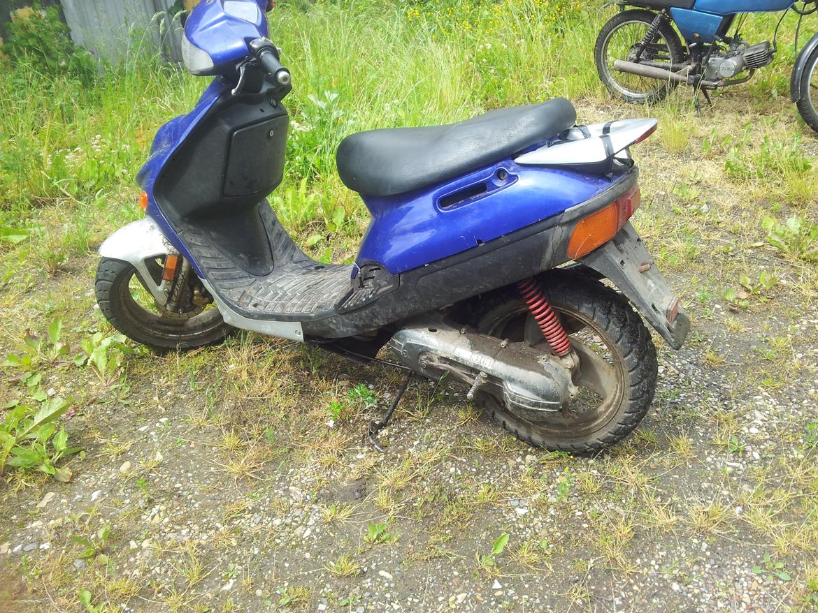 Adly silver fox billede 3