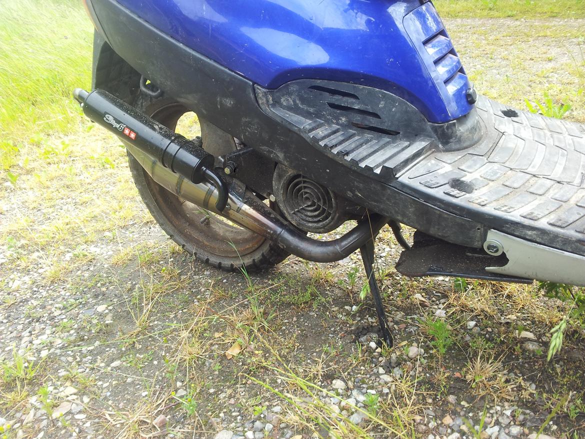 Adly silver fox - se lige det udstødning  billede 4