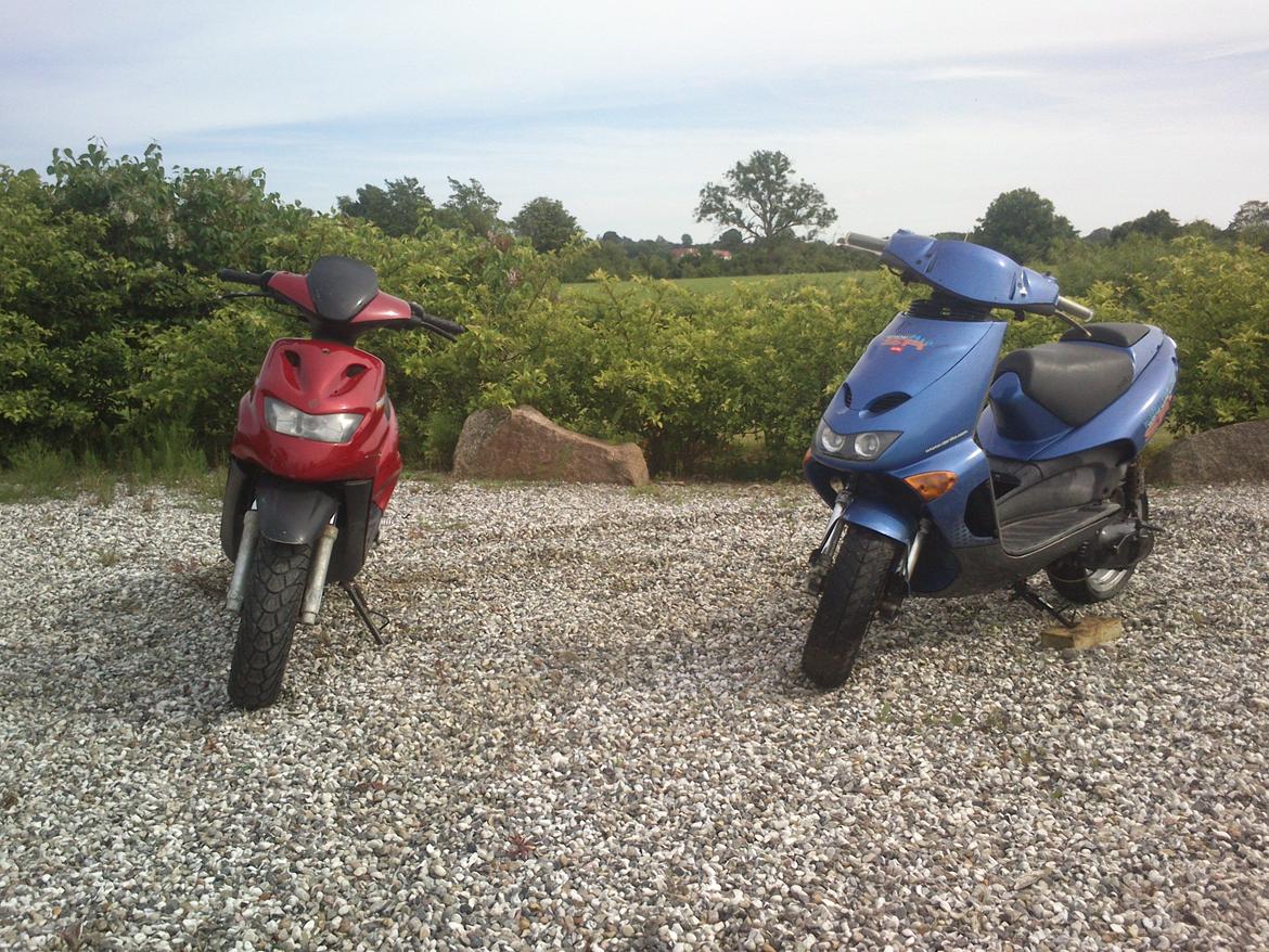 Aprilia Rally (AC) billede 8