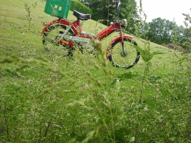 Puch Maxi S billede 7