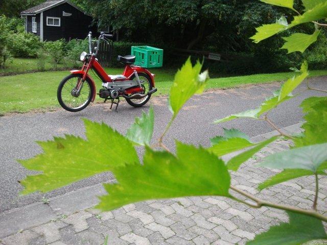 Puch Maxi S billede 1