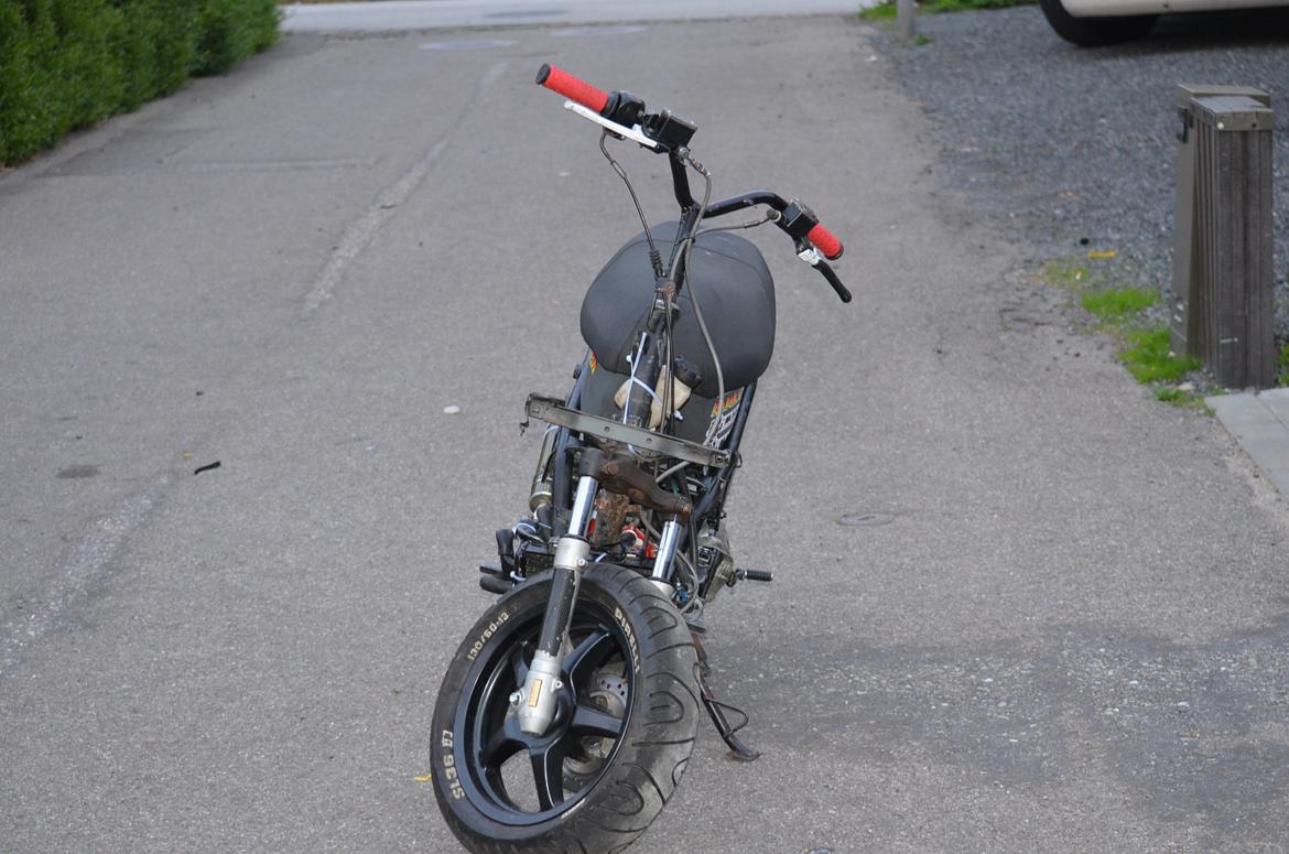 PGO "HotRox" LC DD billede 3
