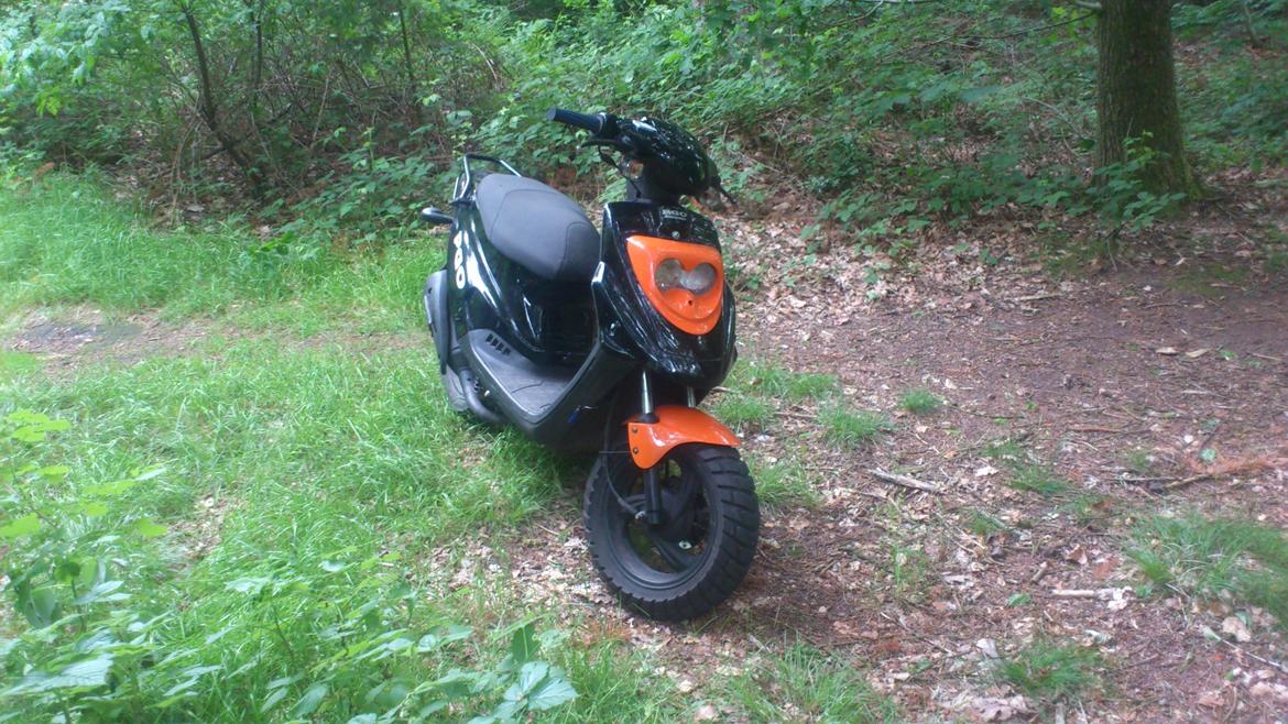 PGO Hot 50 billede 1