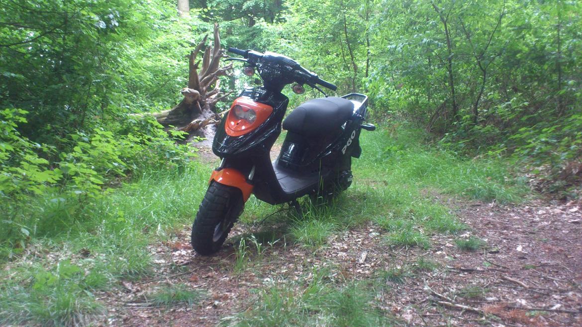 PGO Hot 50 billede 2