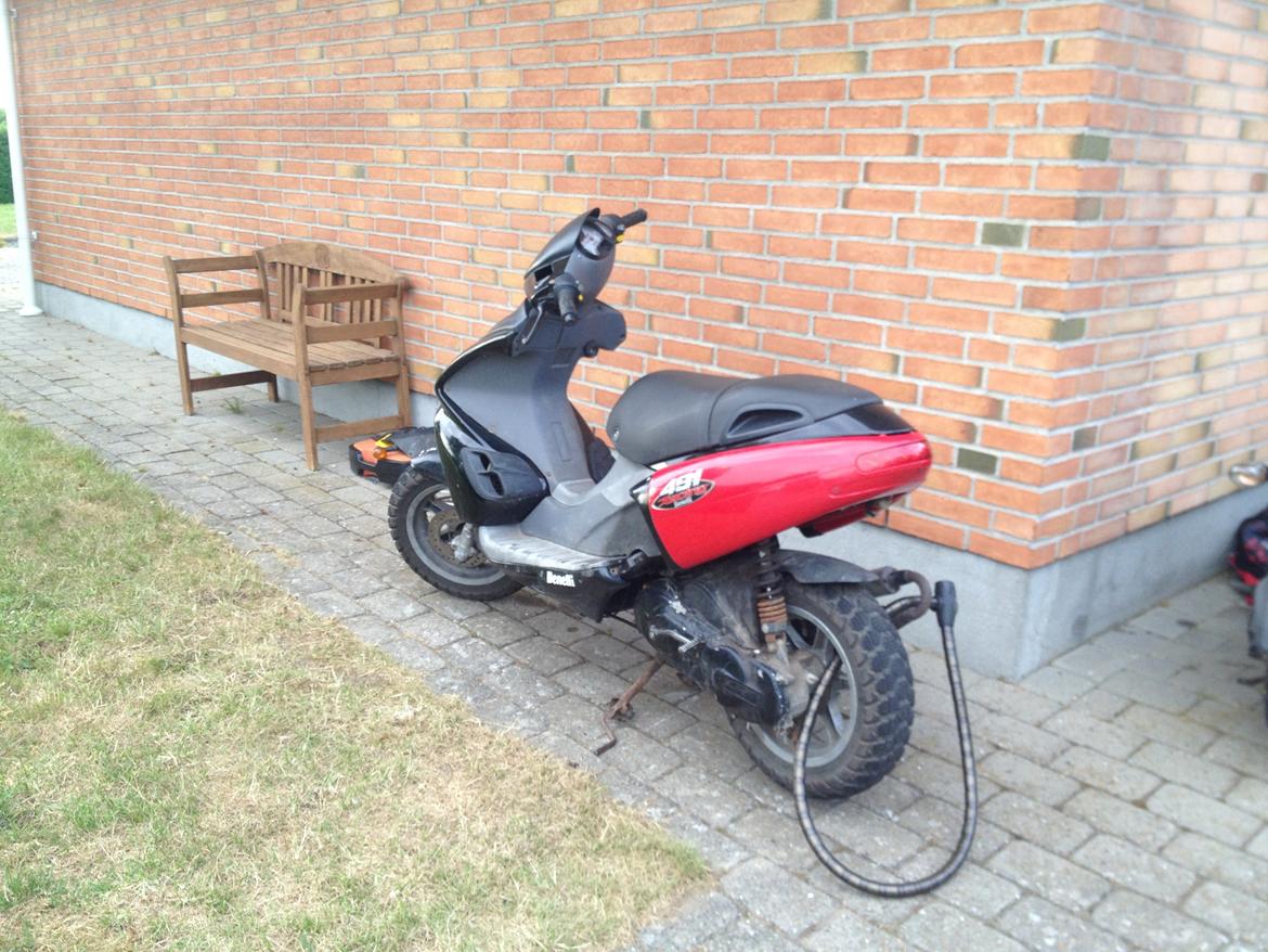 Benelli 491 racer billede 2